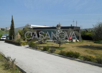 Terreno - Shop Tortoreto - photo 3