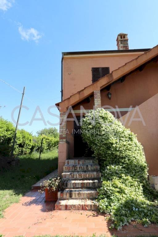 Giardino - Rustico Mosciano Sant'Angelo - foto 3