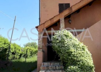 Giardino - Rustico Mosciano Sant'Angelo - foto 3