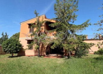 Giardino - Rustico Mosciano Sant'Angelo - foto 7