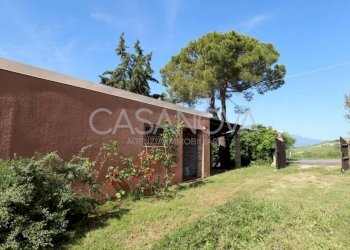 Terreno - Rustico Mosciano Sant'Angelo - foto 13