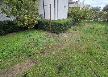 Giardino - Stabile - Palazzo Mosciano Sant'Angelo - foto 9