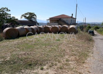 Terreno - Rustico Mosciano Sant'Angelo - foto 9