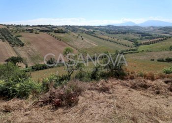 Terreno - Rustico Mosciano Sant'Angelo - foto 25