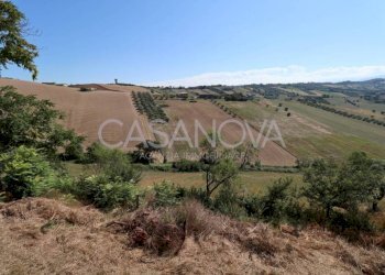 Vista - Rustico Mosciano Sant'Angelo - foto 28