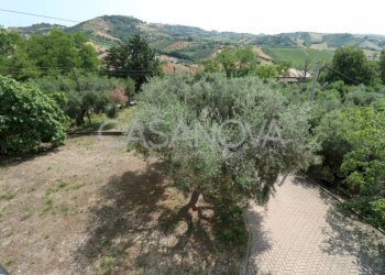 Terreno - Villa Tortoreto - foto 19