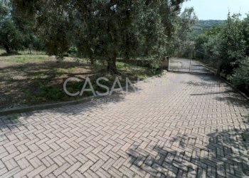 Cortile interno - Villa Tortoreto - foto 28