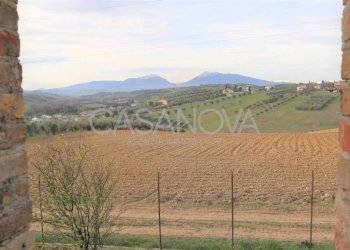 Rustic Tortoreto - photo 15