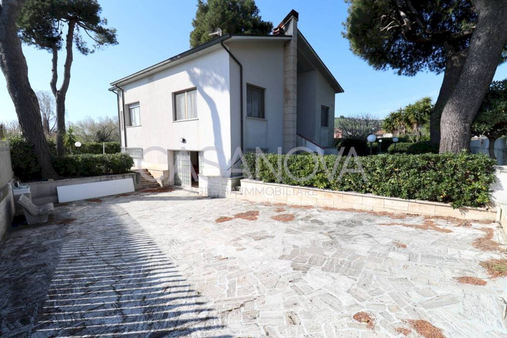 Giardino - Villa Giulianova - foto 3