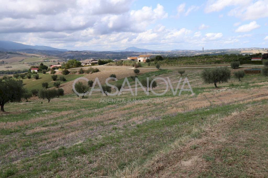 Terreno - Rustic via Villa De Luca, Bellante - photo 3