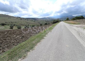 Terreno - Rustic via Villa De Luca, Bellante - photo 4