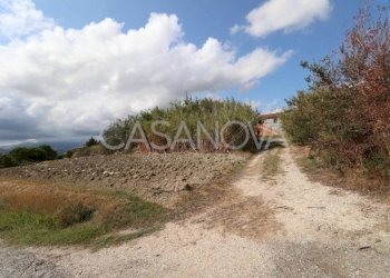 Terreno - Rustic via Villa De Luca, Bellante - photo 5