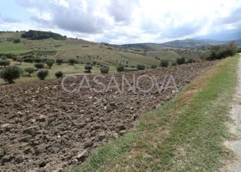 Terreno - Rustic via Villa De Luca, Bellante - photo 37