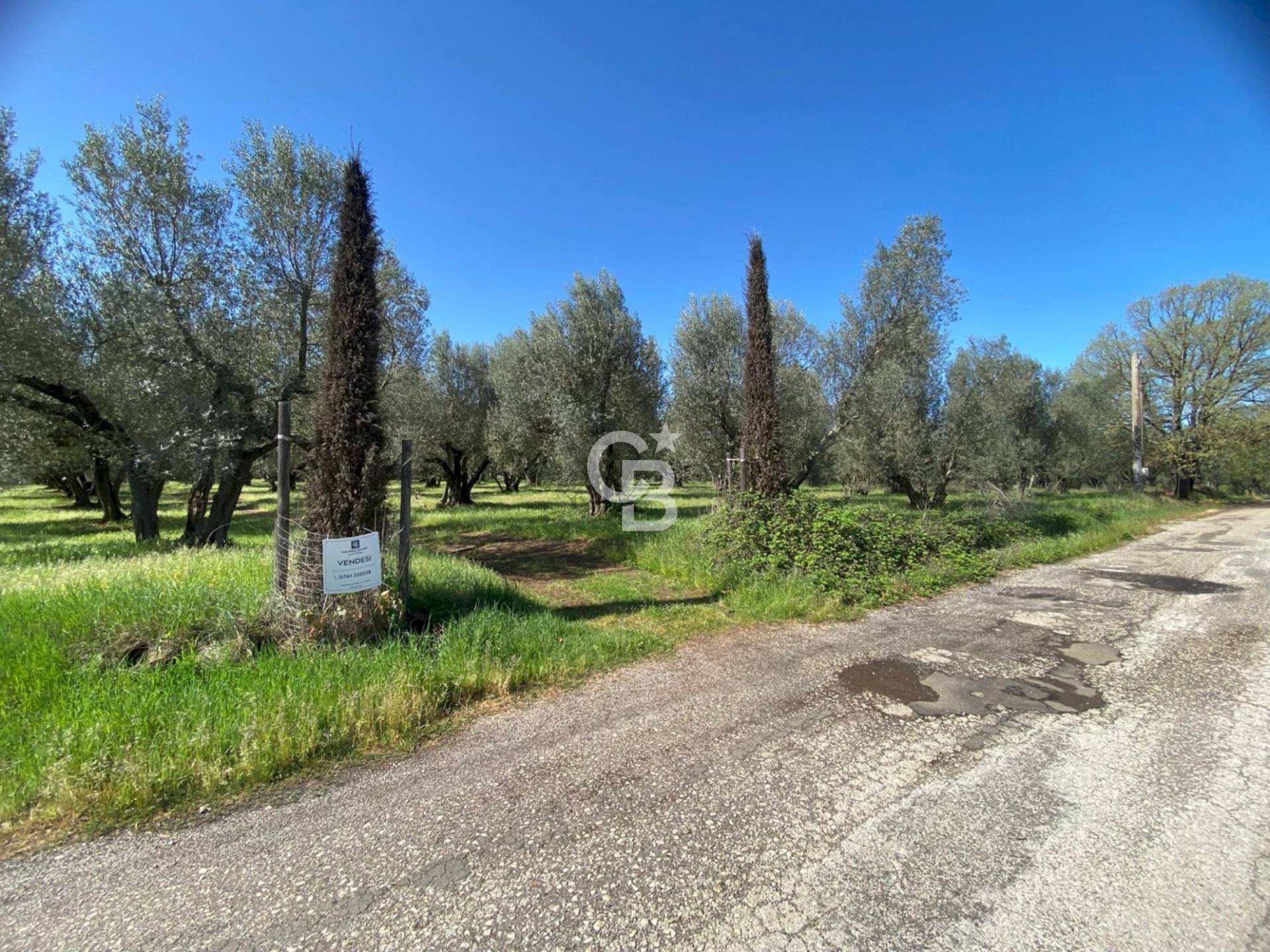 Foto 3 - Terreno agricolo Strada Marchionato, Vetralla - foto 3