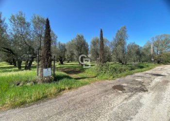 Foto 3 - Terreno agricolo Strada Marchionato, Vetralla - foto 3