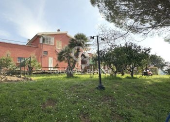 Foto 3 - Rustico Località Casal Nuovo
 
34, Tarquinia - foto 3