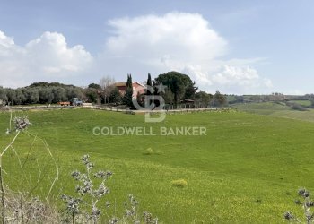 Foto 6 - Rustico Località Casal Nuovo
 
34, Tarquinia - foto 6