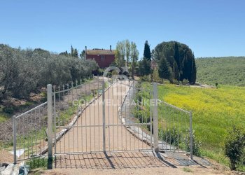 Foto 7 - Rustico Località Casal Nuovo
 
34, Tarquinia - foto 7