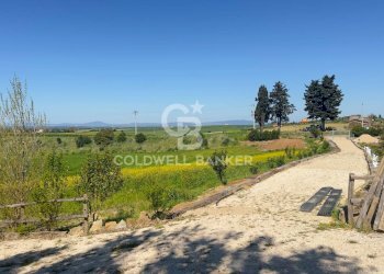 Foto 8 - Rustico Località Casal Nuovo
 
34, Tarquinia - foto 8