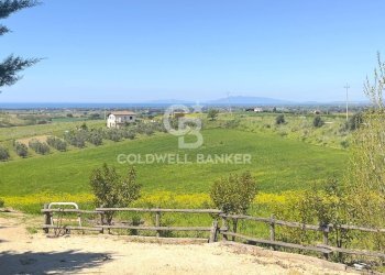 Foto 10 - Rustico Località Casal Nuovo
 
34, Tarquinia - foto 10