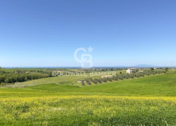 Foto 12 - Rustico Località Casal Nuovo
 
34, Tarquinia - foto 12