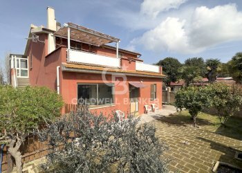 Foto 15 - Rustico Località Casal Nuovo
 
34, Tarquinia - foto 15