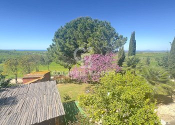 Foto 59 - Rustico Località Casal Nuovo
 
34, Tarquinia - foto 59