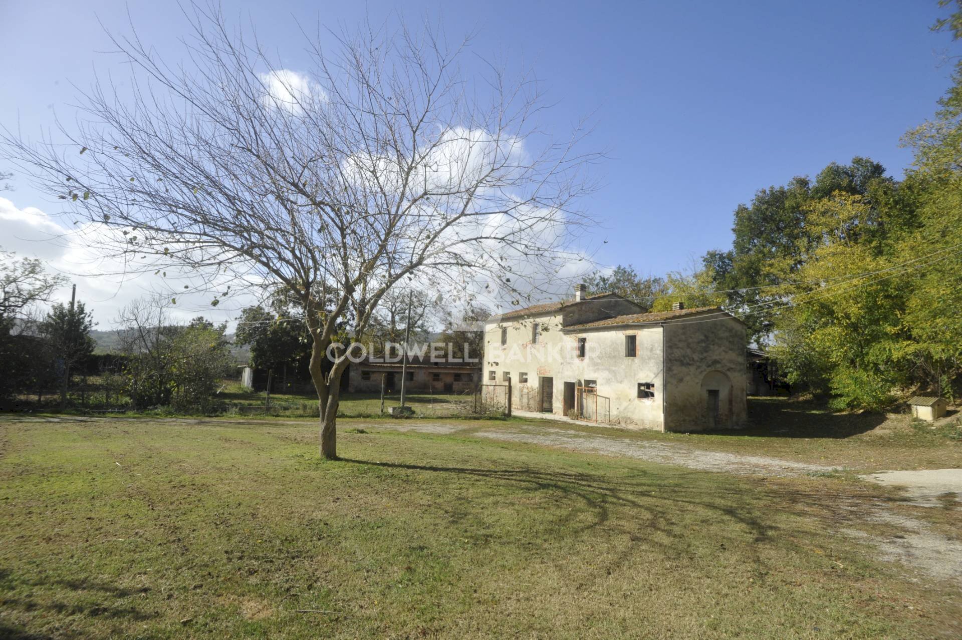 Foto 3 - Rustico Località Comune, Lucignano - foto 3