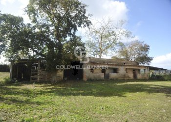 Foto 11 - Rustico Località Comune, Lucignano - foto 11