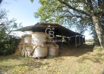 Foto 16 - Rustico Località Comune, Lucignano - foto 16