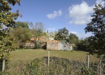 Foto 17 - Rustico Località Comune, Lucignano - foto 17