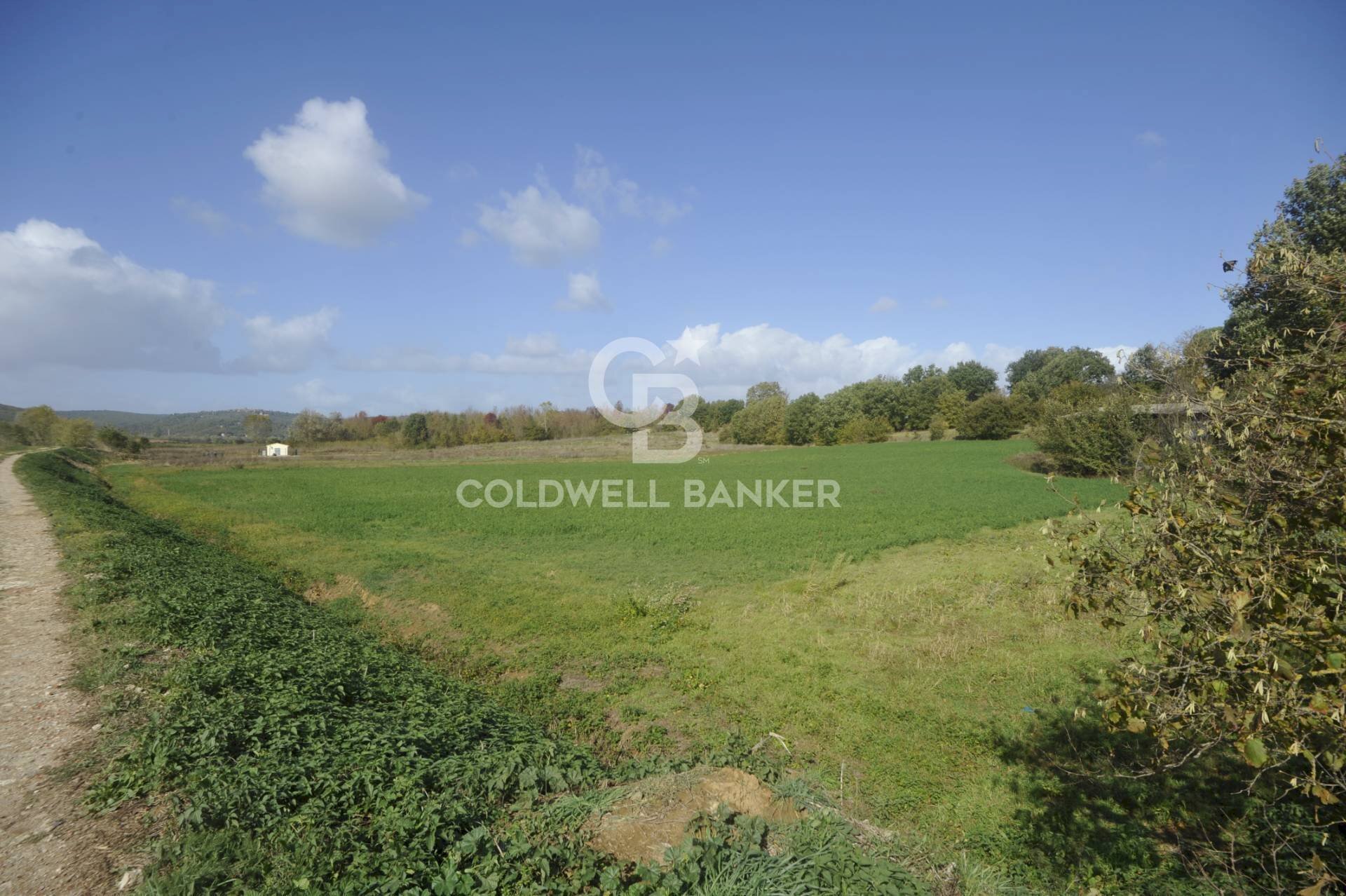 Foto 1 - Terreno agricolo Località Comune, Lucignano - foto 1