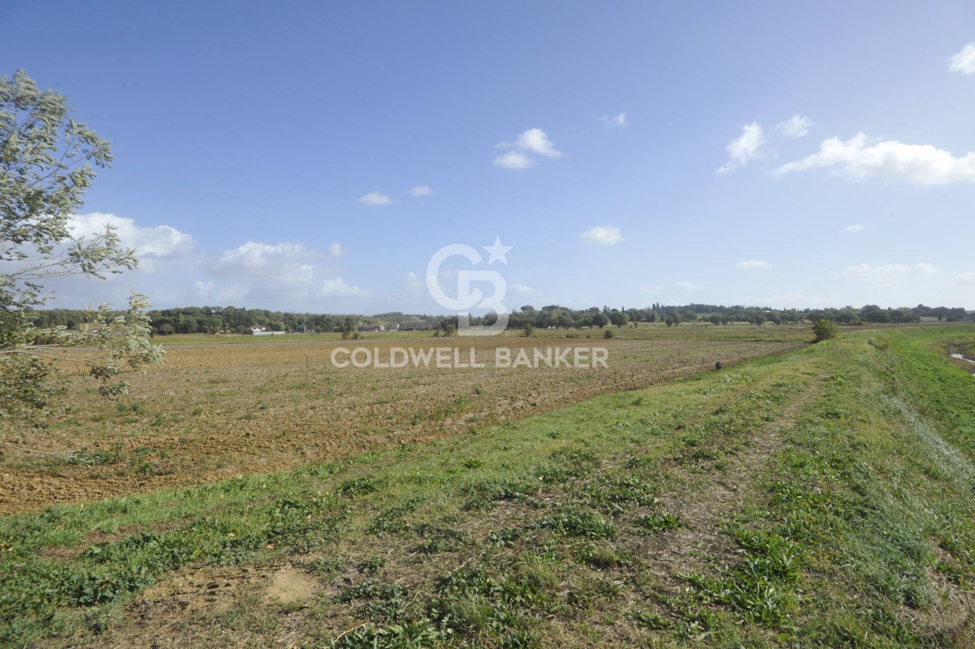 Foto 2 - Terreno agricolo Località Comune, Lucignano - foto 2