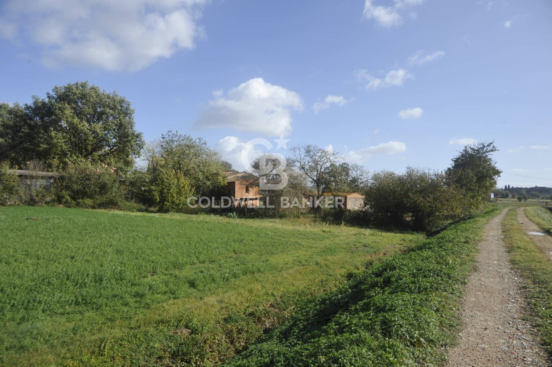 Foto 3 - Terreno agricolo Località Comune, Lucignano - foto 3