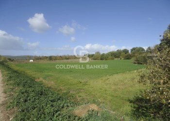 Foto 1 - Terreno agricolo Località Comune, Lucignano - foto 1