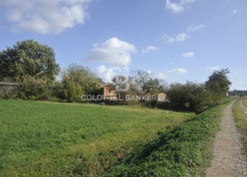 Foto 3 - Terreno agricolo Località Comune, Lucignano - foto 3