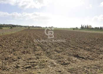 Foto 4 - Terreno agricolo Località Comune, Lucignano - foto 4