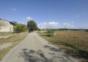 Foto 5 - Terreno agricolo Località Comune, Lucignano - foto 5