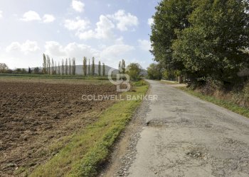 Foto 6 - Terreno agricolo Località Comune, Lucignano - foto 6