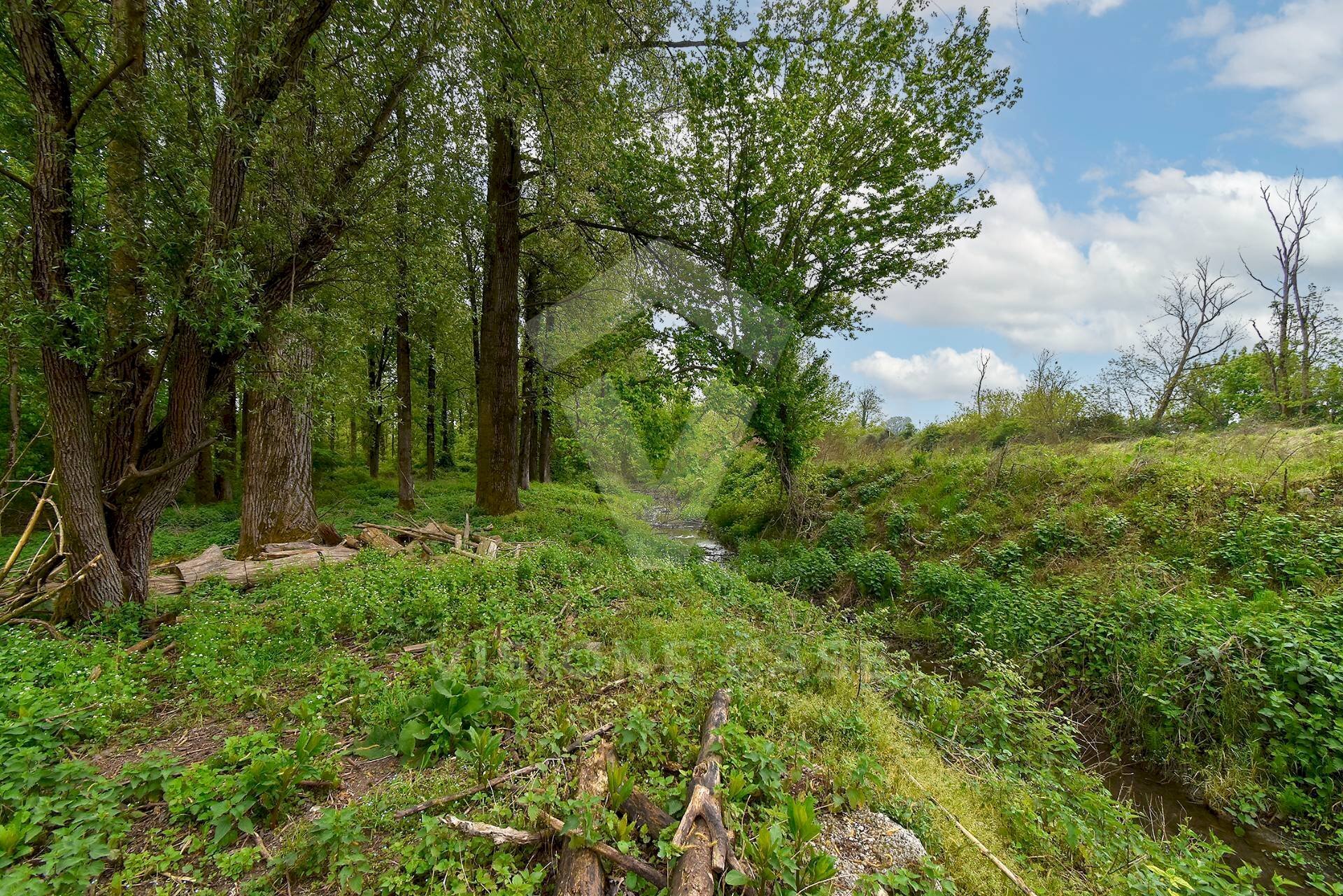 Foto 2 - Terreno agricolo Via Fornace Cavallino, Opera - foto 2