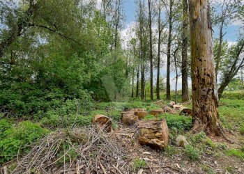 Foto 6 - Terreno agricolo Via Fornace Cavallino, Opera - foto 6