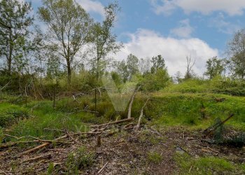 Foto 7 - Terreno agricolo Via Fornace Cavallino, Opera - foto 7