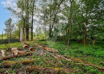 Foto 10 - Terreno agricolo Via Fornace Cavallino, Opera - foto 10