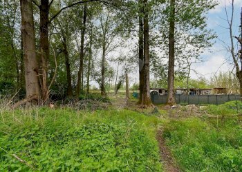 Foto 11 - Terreno agricolo Via Fornace Cavallino, Opera - foto 11