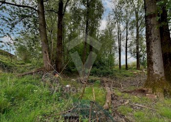 Foto 13 - Terreno agricolo Via Fornace Cavallino, Opera - foto 13