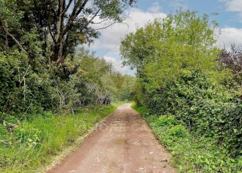 Foto 17 - Terreno agricolo Via Fornace Cavallino, Opera - foto 17