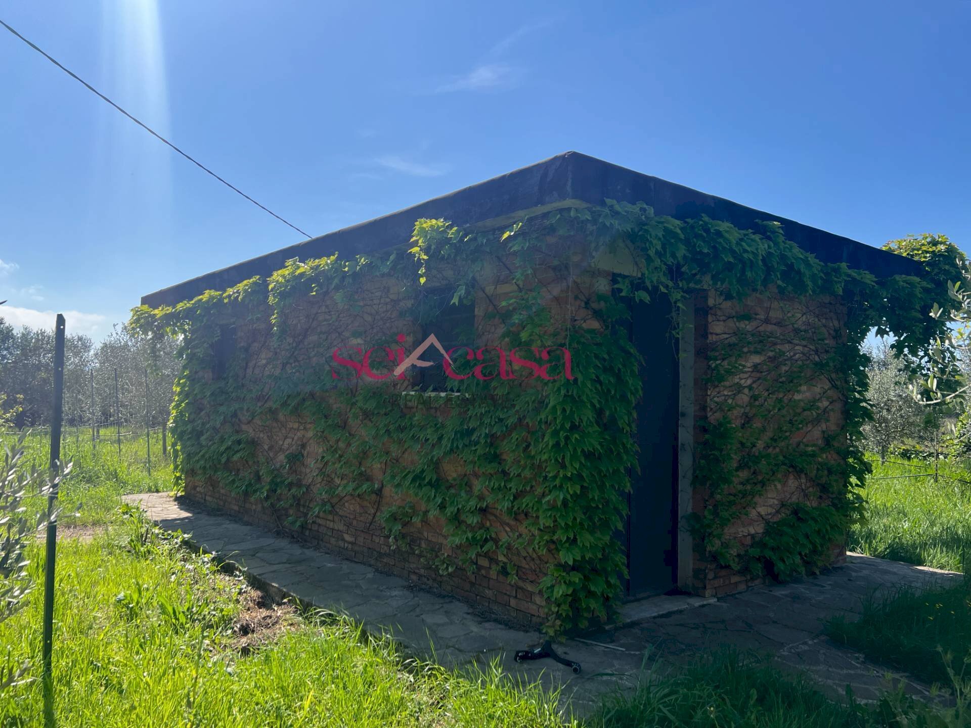 Foto 1 - Terreno agricolo Grosseto - foto 1