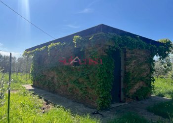 Foto 1 - Terreno agricolo Grosseto - foto 1