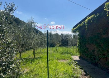 Foto 2 - Terreno agricolo Grosseto - foto 2