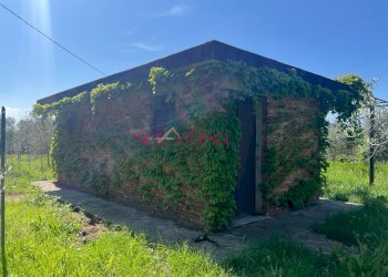 Foto 8 - Terreno agricolo Grosseto - foto 8